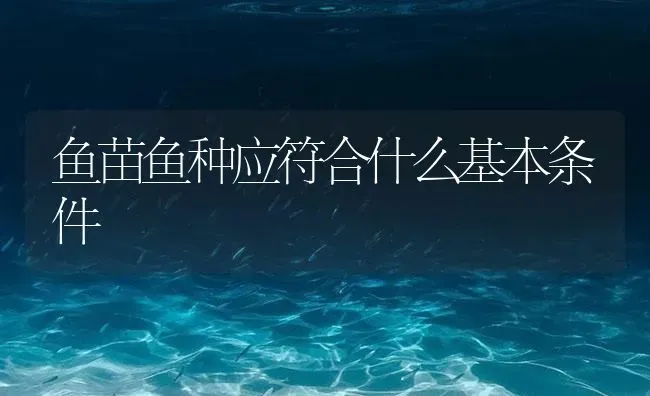 鱼苗鱼种应符合什么基本条件 | 淡水养殖