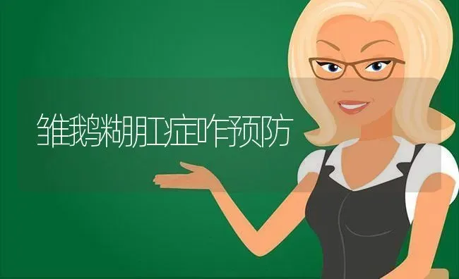 雏鹅糊肛症咋预防 | 家禽养殖