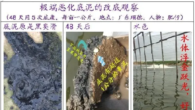 珠三角三个冬棚对虾的介绍和比较