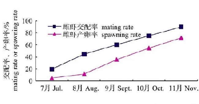 【一文弄清】小龙虾繁殖到底怎么回事？