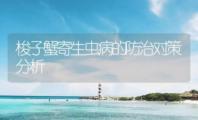 梭子蟹寄生虫病的防治对策分析 | 海水养殖