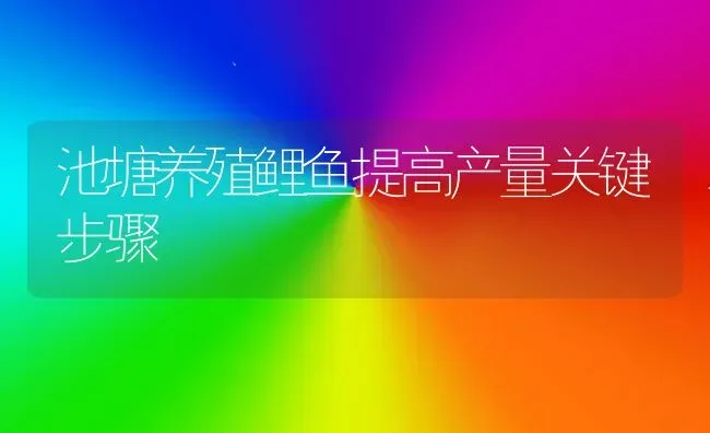 池塘养殖鲤鱼提高产量关键步骤 | 淡水养殖