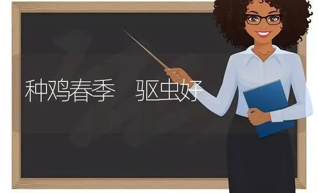 种鸡春季 驱虫好 | 家禽养殖