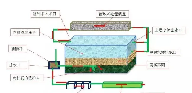 这种循环水养殖技术接地气：蒸隔式反向底排污循环水养殖模式