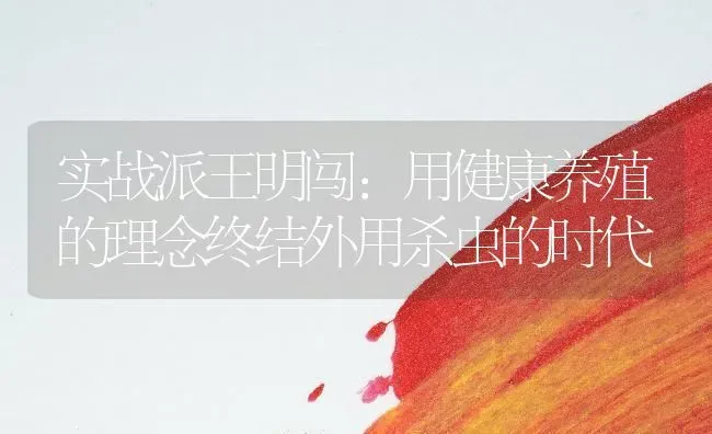 实战派王明闯：用健康养殖的理念终结外用杀虫的时代 | 养殖病虫害防治