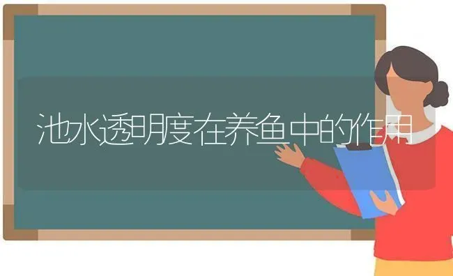 池水透明度在养鱼中的作用 | 淡水养殖