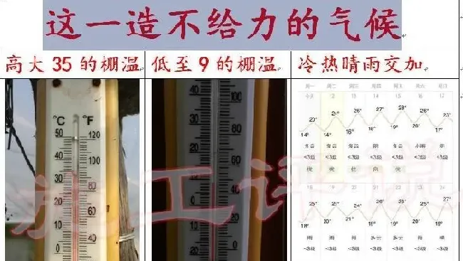 珠三角三个冬棚对虾的介绍和比较