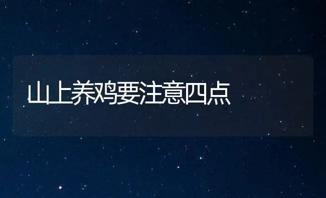 山上养鸡要注意四点 | 家禽养殖