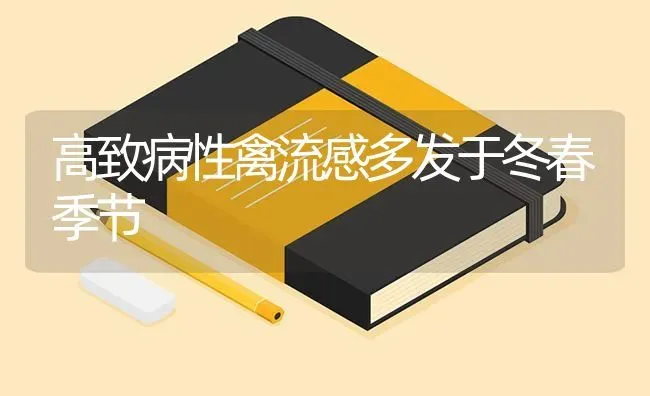 高致病性禽流感多发于冬春季节 | 家禽养殖