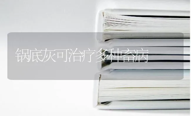 锅底灰可治疗多种畜病 | 家畜养殖