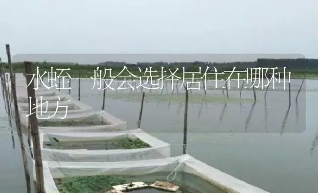 水蛭一般会选择居住在哪种地方 | 特种养殖