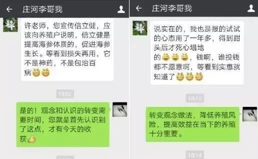 春季海参不下滩 这样做 你可以看到意想不到的效果