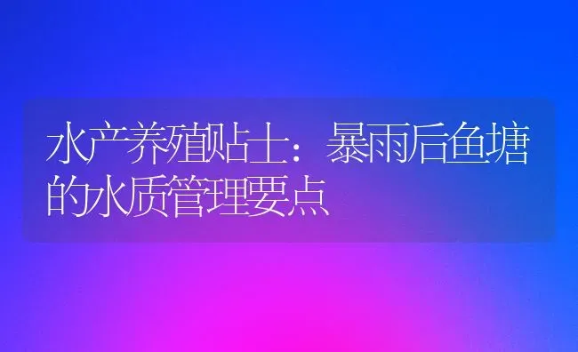 水产养殖贴士：暴雨后鱼塘的水质管理要点 | 动物养殖百科
