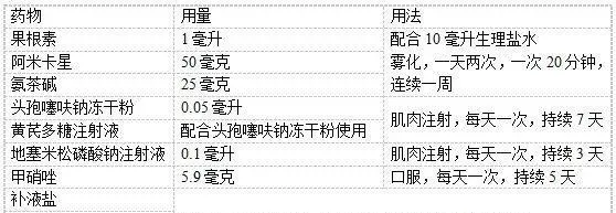 缅甸星龟肺炎、原虫、肠炎治疗案例分享