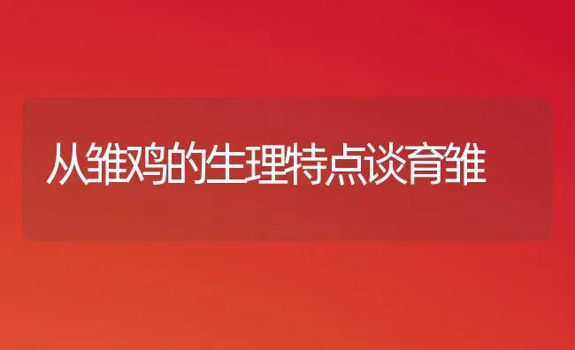 从雏鸡的生理特点谈育雏 | 家禽养殖