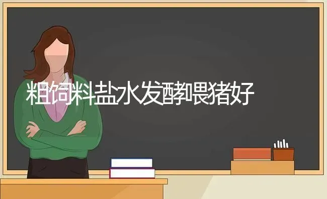 粗饲料盐水发酵喂猪好 | 家畜养殖