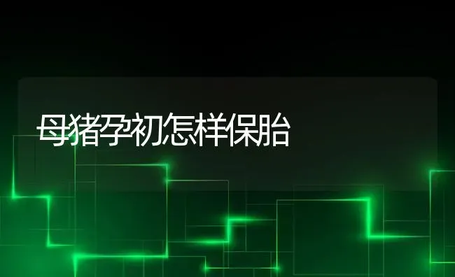 母猪孕初怎样保胎 | 家畜养殖