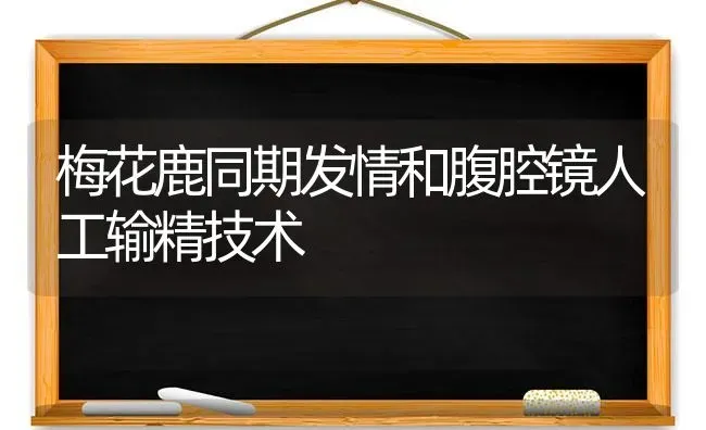 三毛金藻可引起冬季鱼类大量死亡 | 淡水养殖