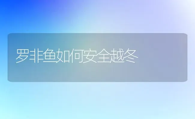 罗非鱼如何安全越冬 | 淡水养殖
