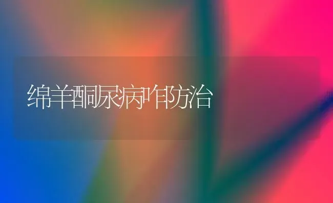 绵羊酮尿病咋防治 | 家畜养殖