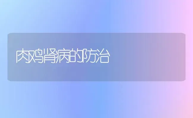 肉鸡肾病的防治 | 家禽养殖