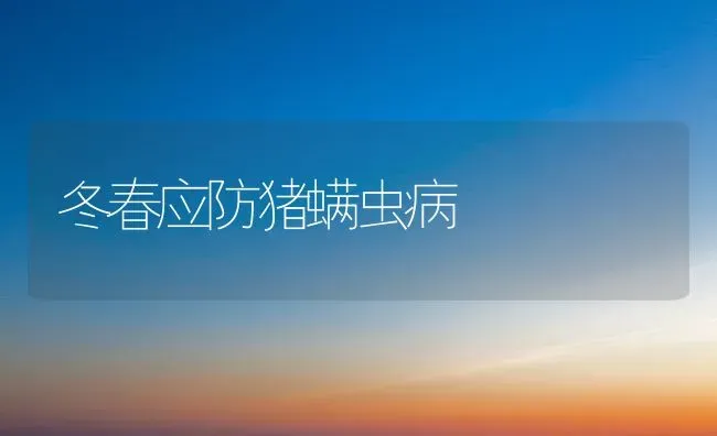 冬春应防猪螨虫病 | 家畜养殖
