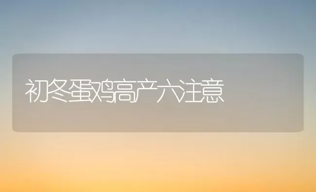 初冬蛋鸡高产六注意 | 家禽养殖