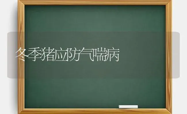 冬季猪应防气喘病 | 家畜养殖