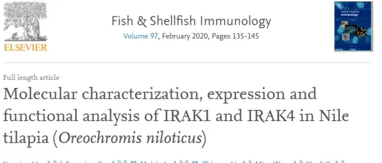 论文解读--IRAK1和IRAK4在尼罗罗非鱼体内的分子特征、表达及功能分析