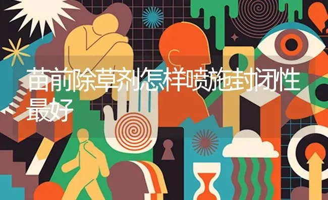 绵羊螨病的根治方法 | 家畜养殖