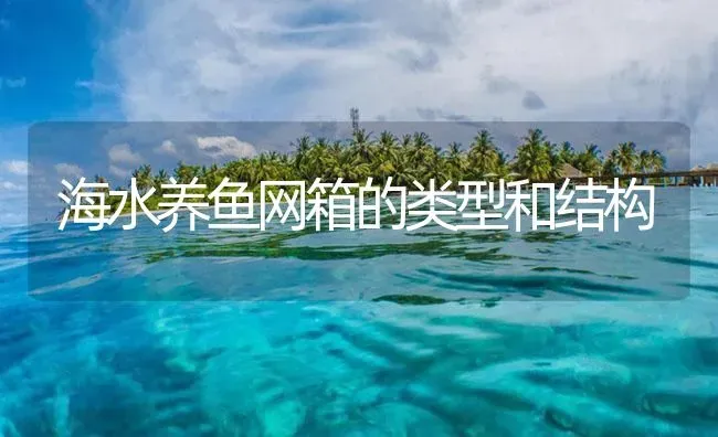 海水养鱼网箱的类型和结构 | 海水养殖