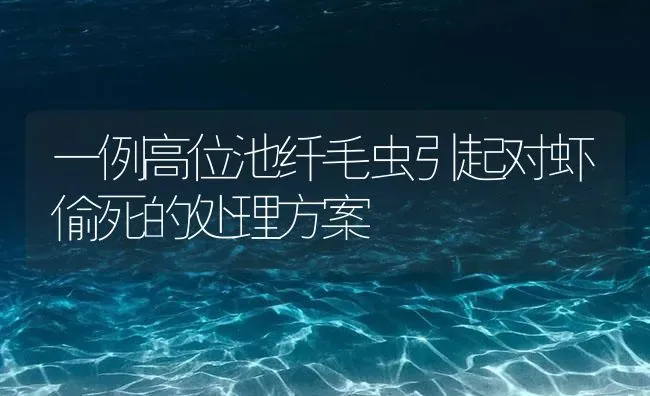 一例高位池纤毛虫引起对虾偷死的处理方案 | 海水养殖