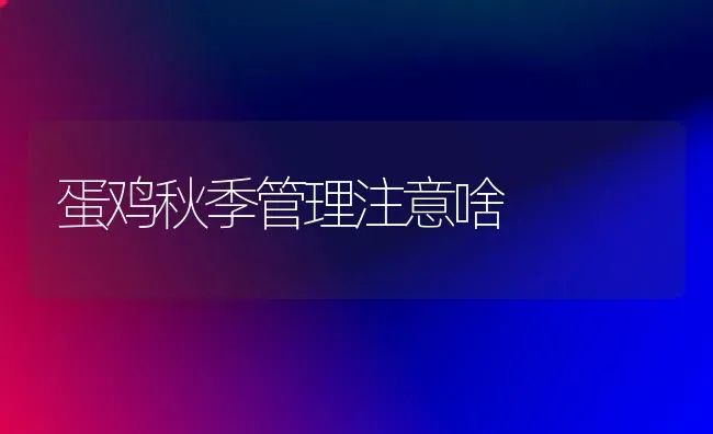 蛋鸡秋季管理注意啥 | 家禽养殖