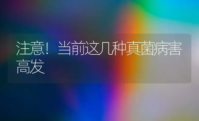 雏鹅痛风“三步五防”更有效 | 家禽养殖