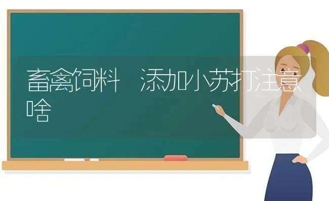 畜禽饲料 添加小苏打注意啥 | 动物养殖饲料