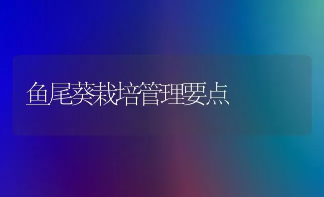 鱼尾葵栽培管理要点 | 淡水养殖