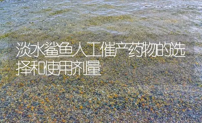 淡水鲨鱼人工催产药物的选择和使用剂量 | 养殖病虫害防治