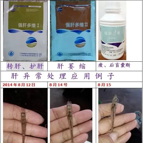 老嚷着要解毒解毒，你真懂“解毒”吗？