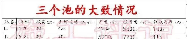 珠三角三个冬棚对虾的介绍和比较