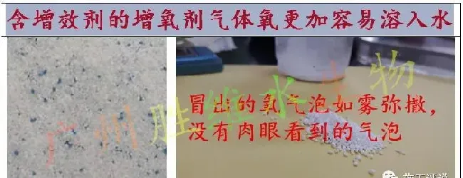 珠三角三个冬棚对虾的介绍和比较