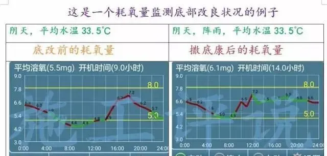 用洪荒之力底改，怎么判断底部是否有改善？