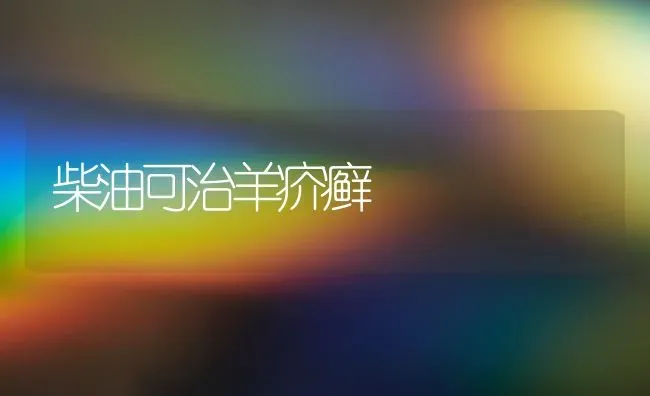 柴油可治羊疥癣 | 家畜养殖