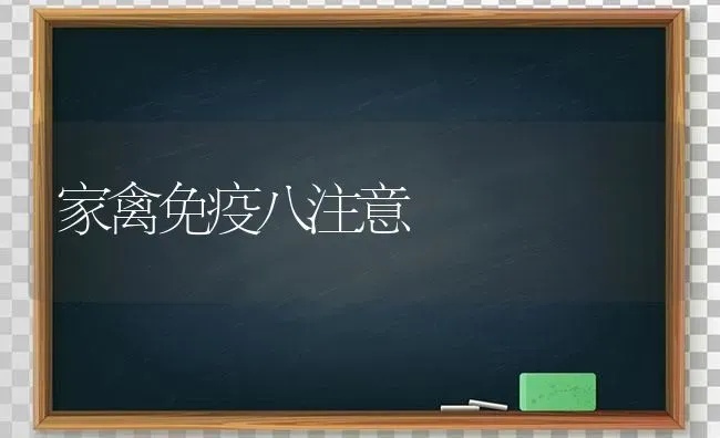 家禽免疫八注意 | 家禽养殖