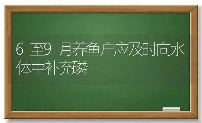 6至9月养鱼户应及时向水体中补充磷 | 动物养殖百科