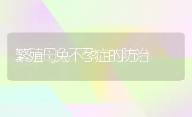 繁殖母兔不孕症的防治 | 家畜养殖