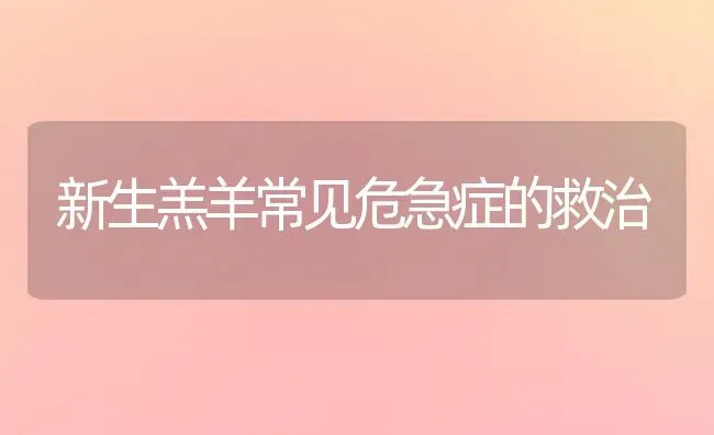 新生羔羊常见危急症的救治 | 家畜养殖