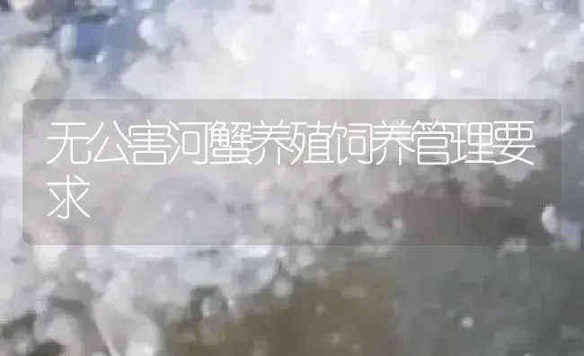 无公害河蟹养殖饲养管理要求 | 淡水养殖