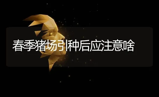 春季猪场引种后应注意啥 | 家畜养殖