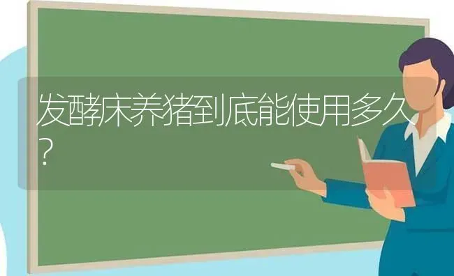 发酵床养猪到底能使用多久？ | 家畜养殖