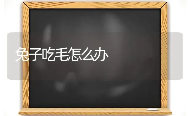 兔子吃毛怎么办 | 家畜养殖